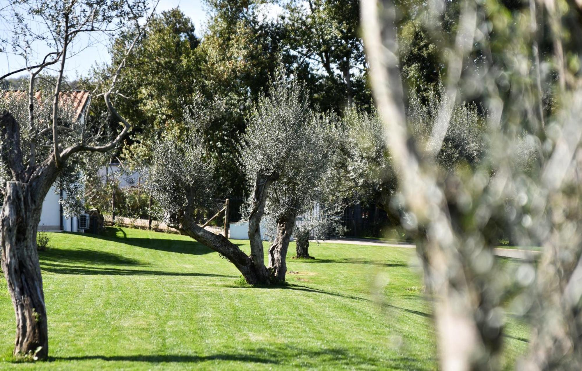 Vigna Caio Relais & Spa (Adults Only) Bracciano  Zewnętrze zdjęcie